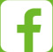 fb icon